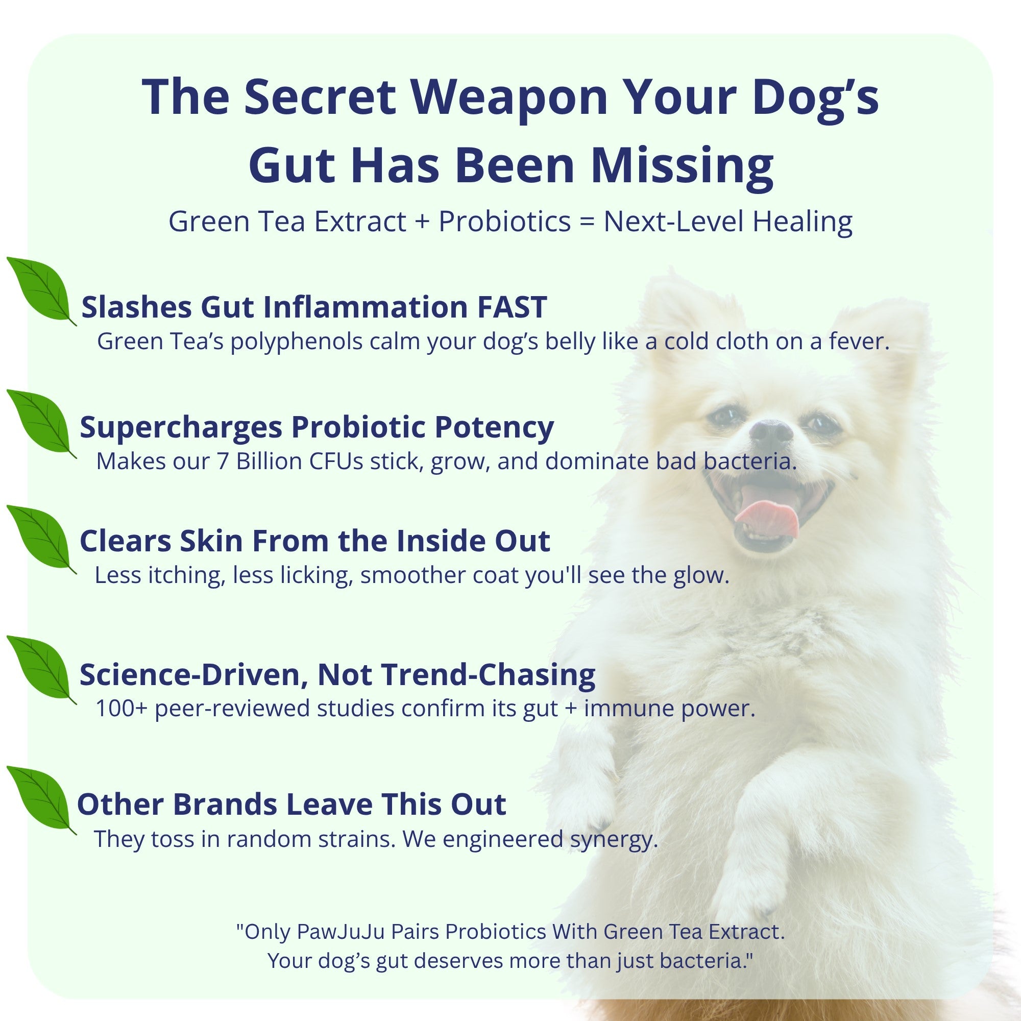 Dog Probiotics