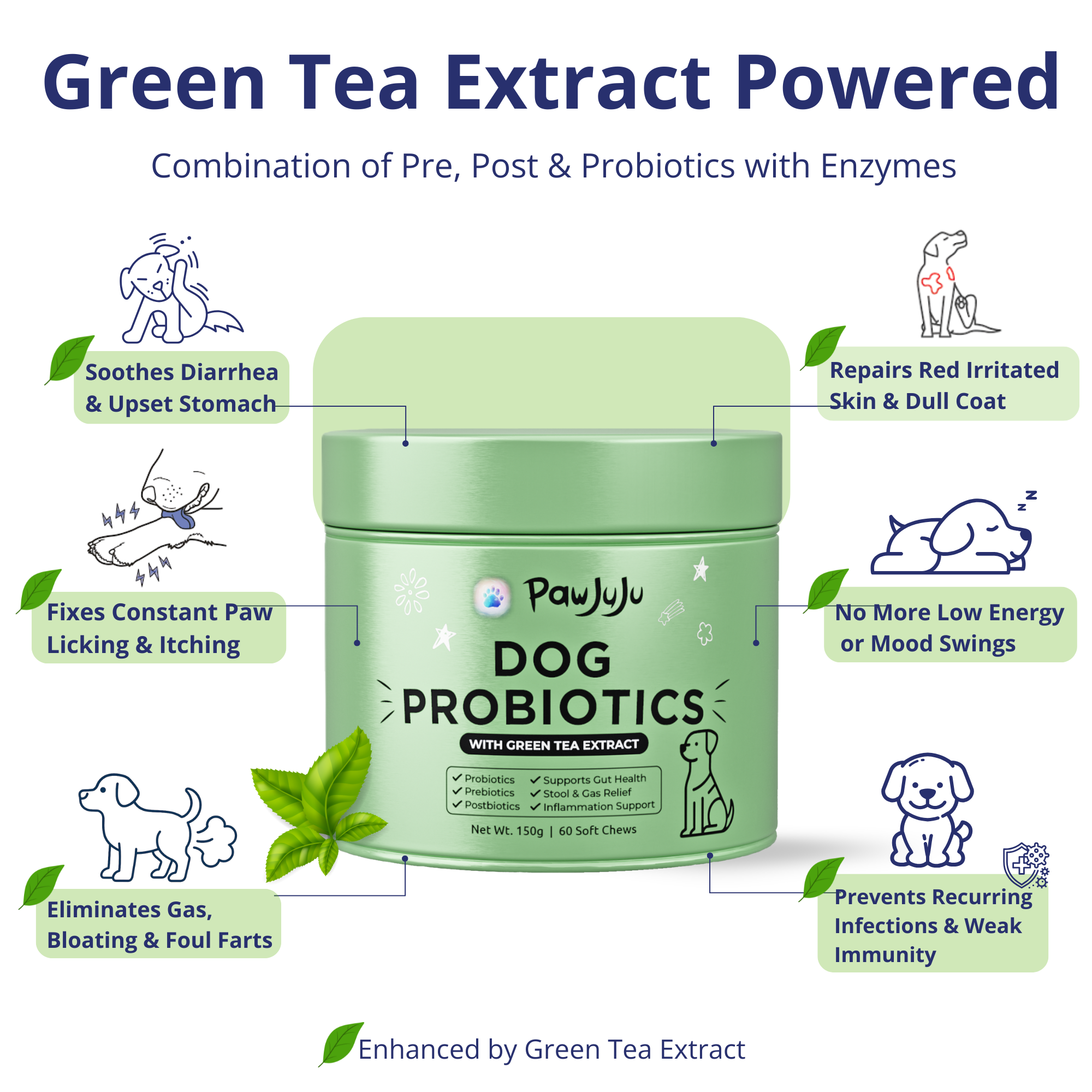 Dog Probiotics