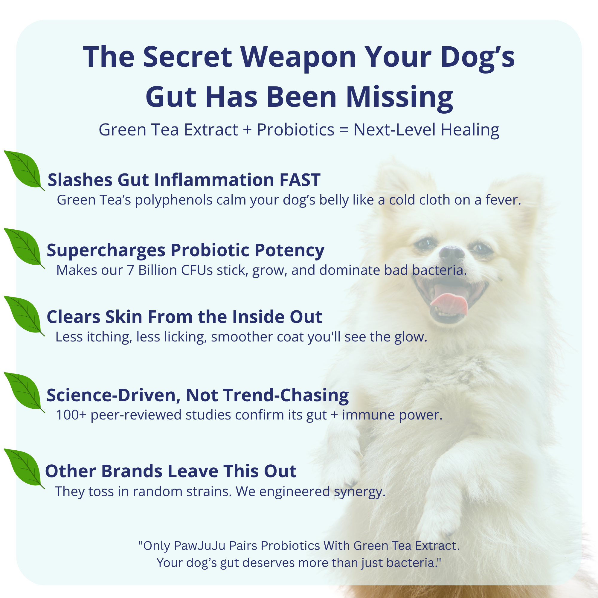 Dog Probiotics