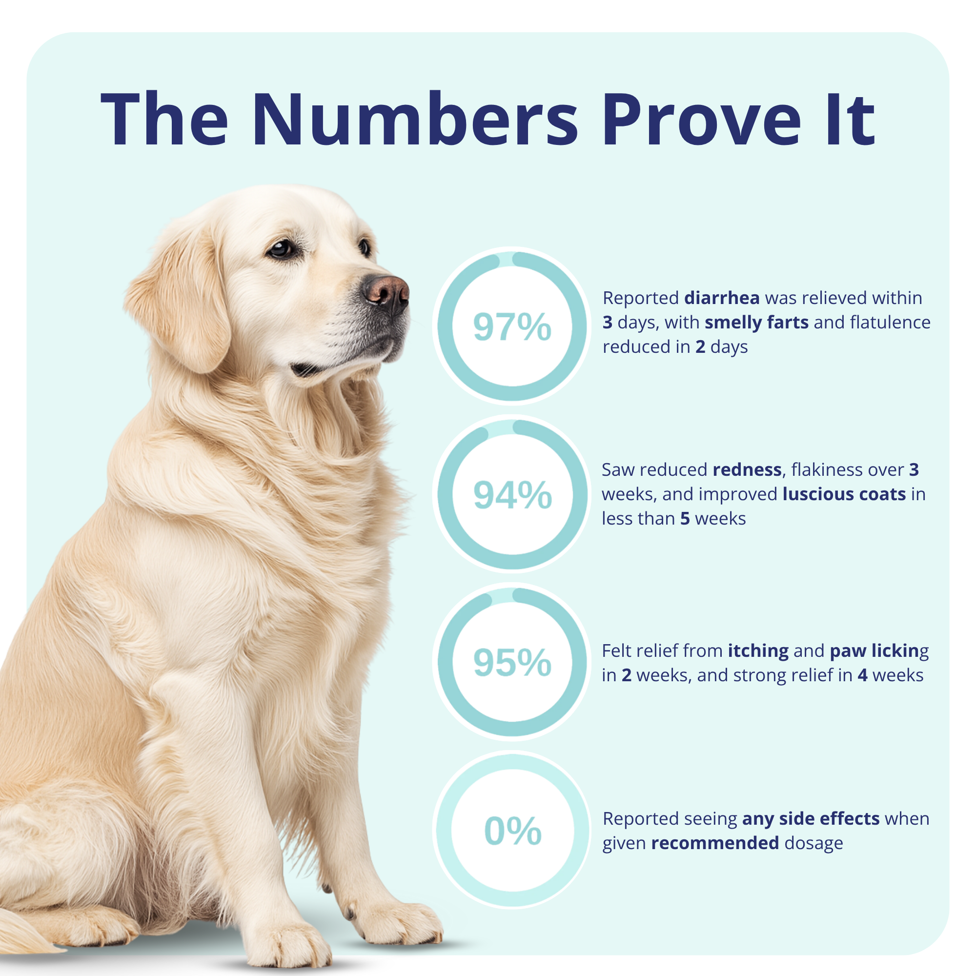 Dog Probiotics